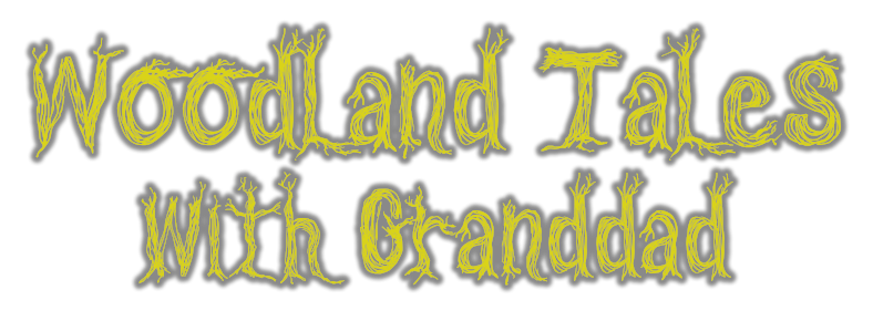 Woodland Tales With Granddad